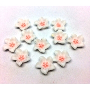 Кабошон Нежные цветы   10 мм 20 шт    белые с розовой серединкой
