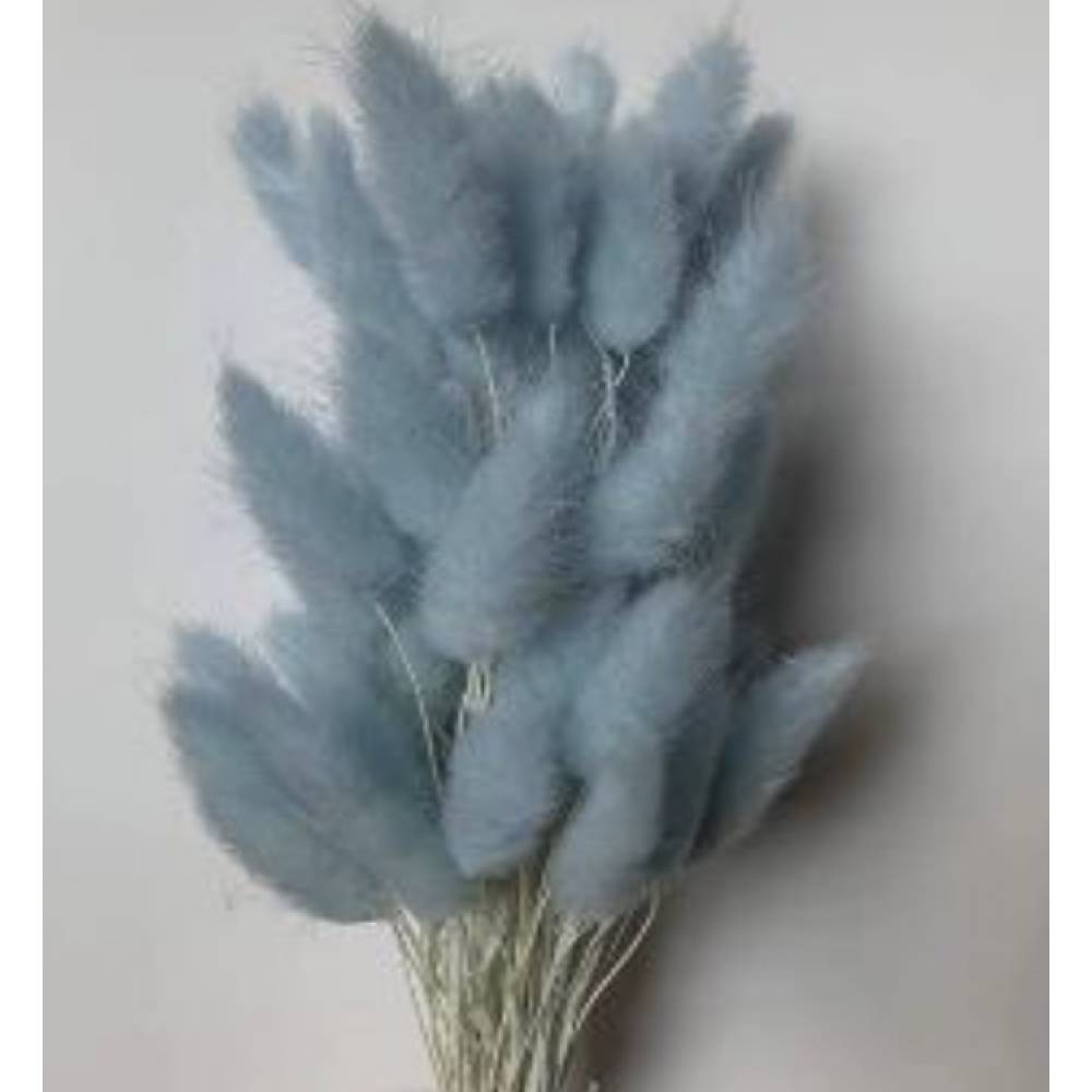 Сухоцвет «Лагурус», (60 веток в пачке), цв. небесный