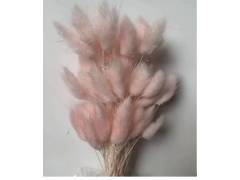 Сухоцвет «Лагурус», (60 веток в пачке), цв. светло-розовый