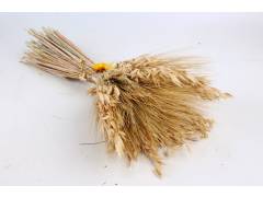 Букет  (пшеница, чумиза, овёс, бессмертник), 17,5х13х51 см
